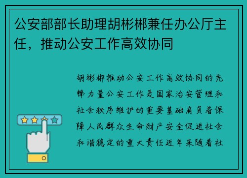 公安部部长助理胡彬郴兼任办公厅主任，推动公安工作高效协同